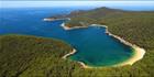 Refuge Cove - VIC (PBH3 00 33627)